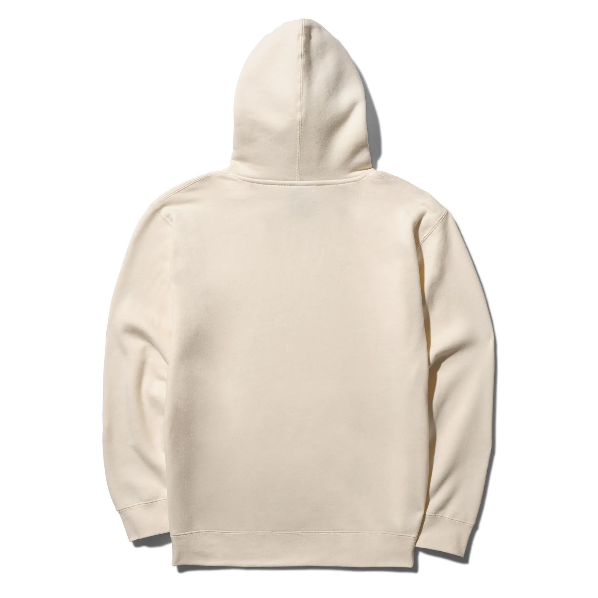 STANCE ESTABLISHED HOODIE - Image 4
